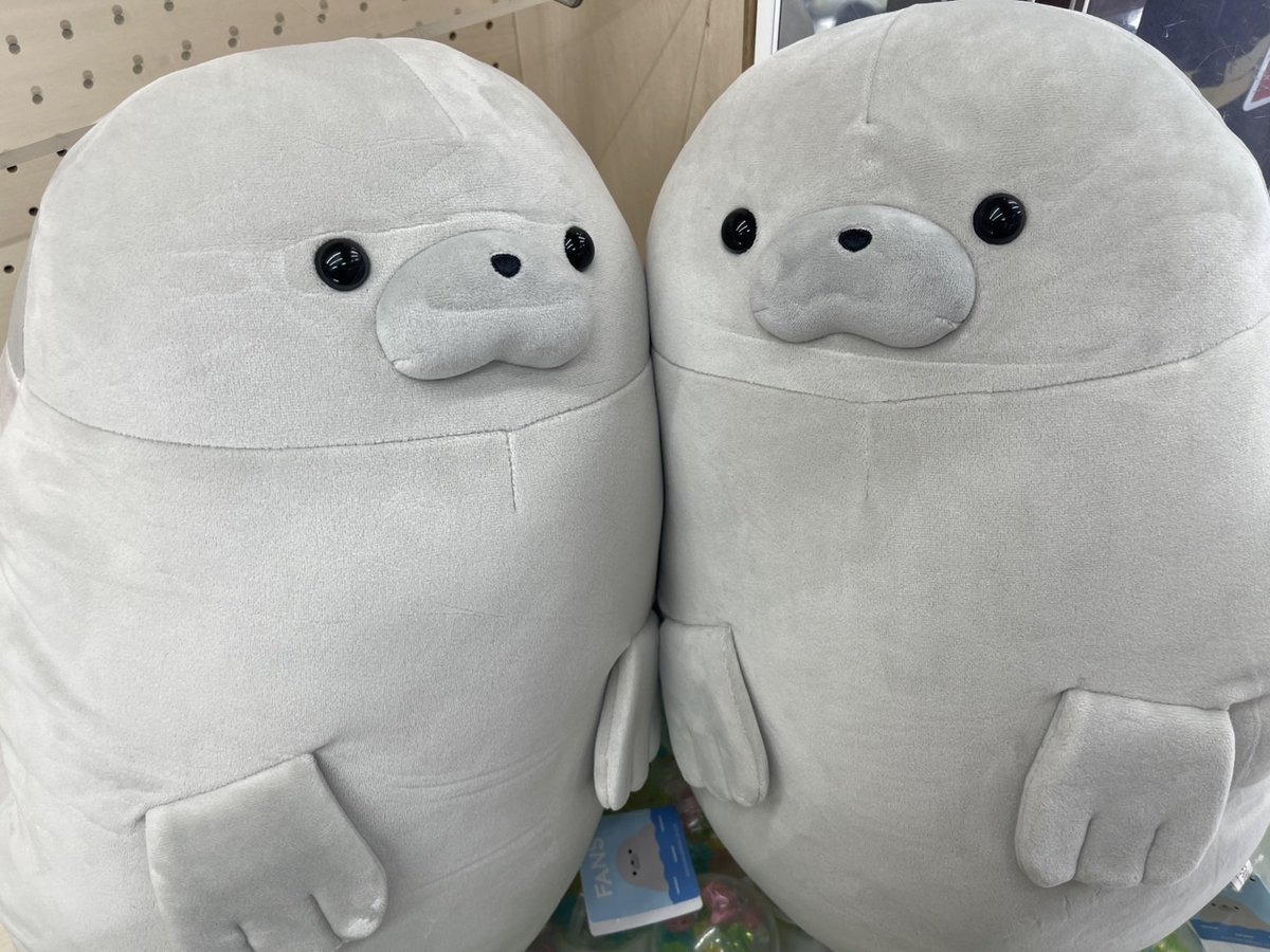 😆新景品情報😆 ・FANS もちもち立ち泳ぎあざらしぬいぐるみXL