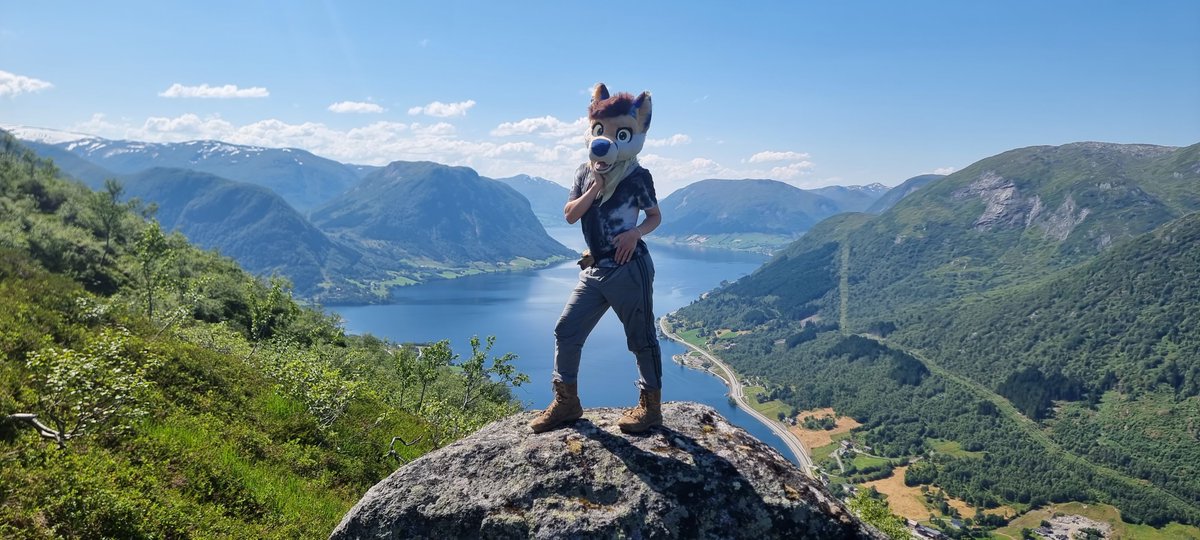 This fjord flower fox knows how to slay these Norwegian mountains 🏞️🇳🇴

📷 <a href="/bambooped/">🍑 Natty</a> 
#FursuitFriday #Fjordcon