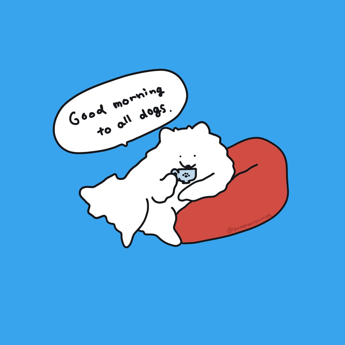 pomeranianmog's tweet image. おはようございます
