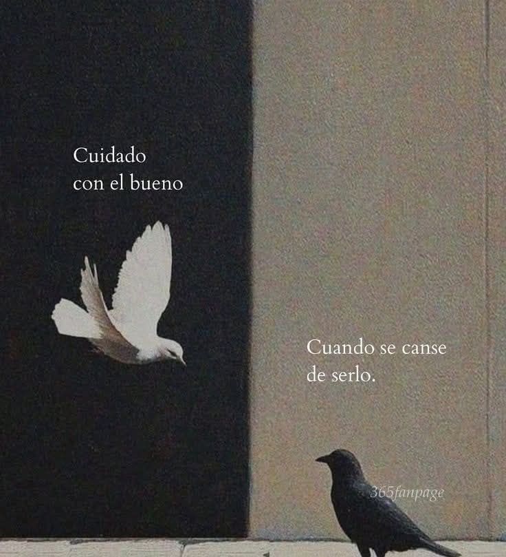 DespertarFeroz's tweet photo. https://t.co/DLhUAKLRxp