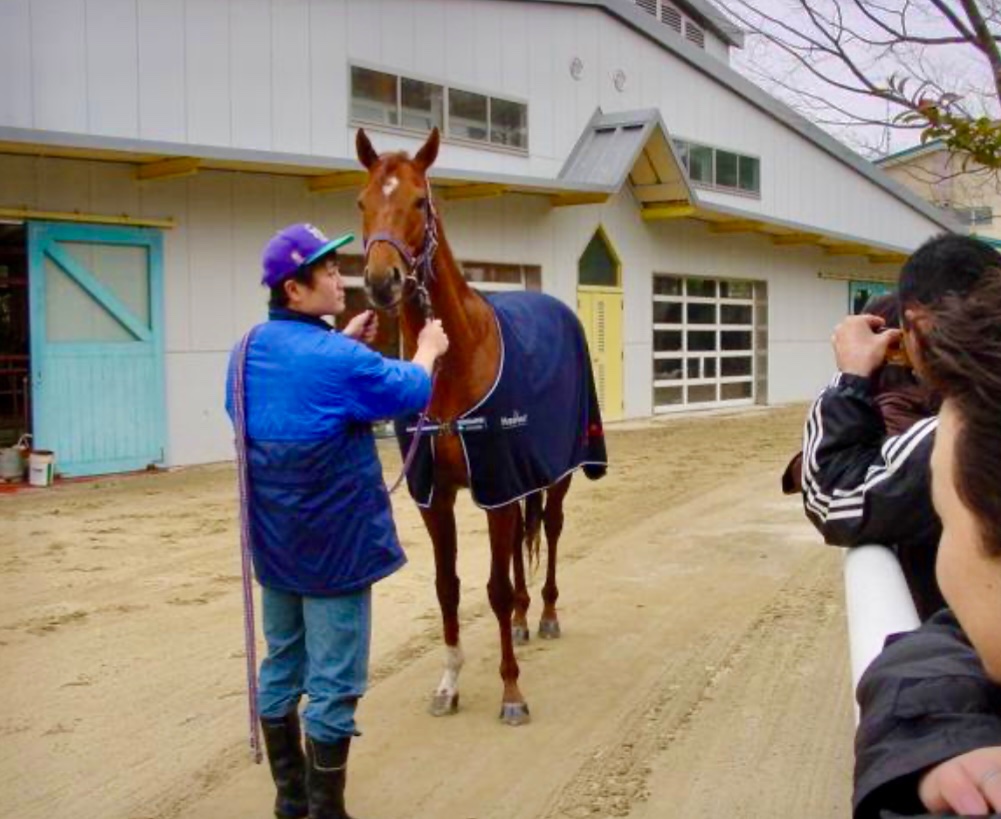 テイエムオペラオーの写真を載せたところ、
6000を超えるイイね！と1000を超えるリポストがあり
反響の大きさが凄かったです。
当時、無敵の最強馬でしたからね。
あの時の写真がまだ一枚だけ残っていました。