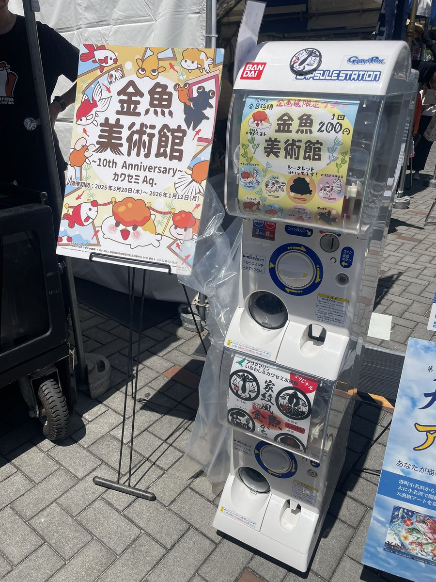 InawashiroAQ's tweet image. 江戸川金魚祭りにカワセミ水族館限定ガチャ出張中!!!
是非回しに来てください♪
#ガチャガチャ #江戸川金魚祭り #江戸川区行船公園 #カワセミ水族館