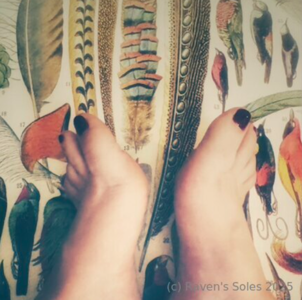 RavensSoles's tweet photo. My 🖤 is ready 2 📷 wt excitement 4 the release of "The Plumes Series" 2morrow 6pm PST ONLY 4 my OF's subscribers! FREE 7 Day Trial here: https://t.co/PC2yglE1Xr I'm aching 2 know what u 📷#onlyfans #feetfinder#footfetish #romanticallydark #macabre #oddities https://t.co/DY3T3cN0ct