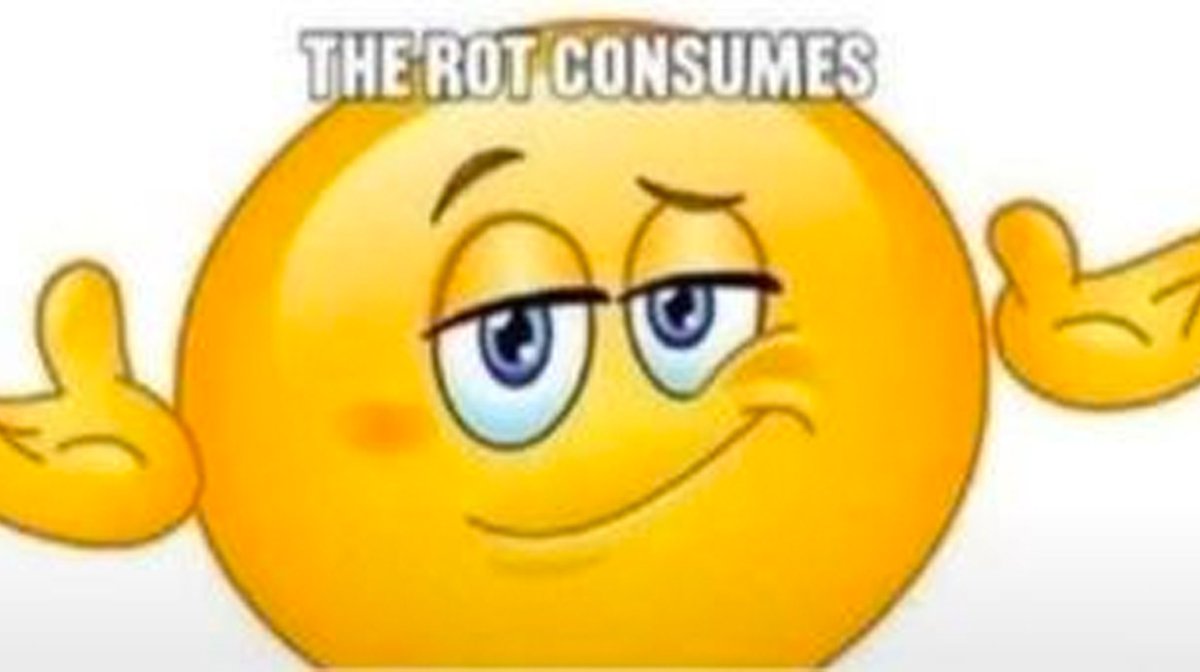 AKoolKoopa's tweet image. Donkey Kong Bananza spoilers no context