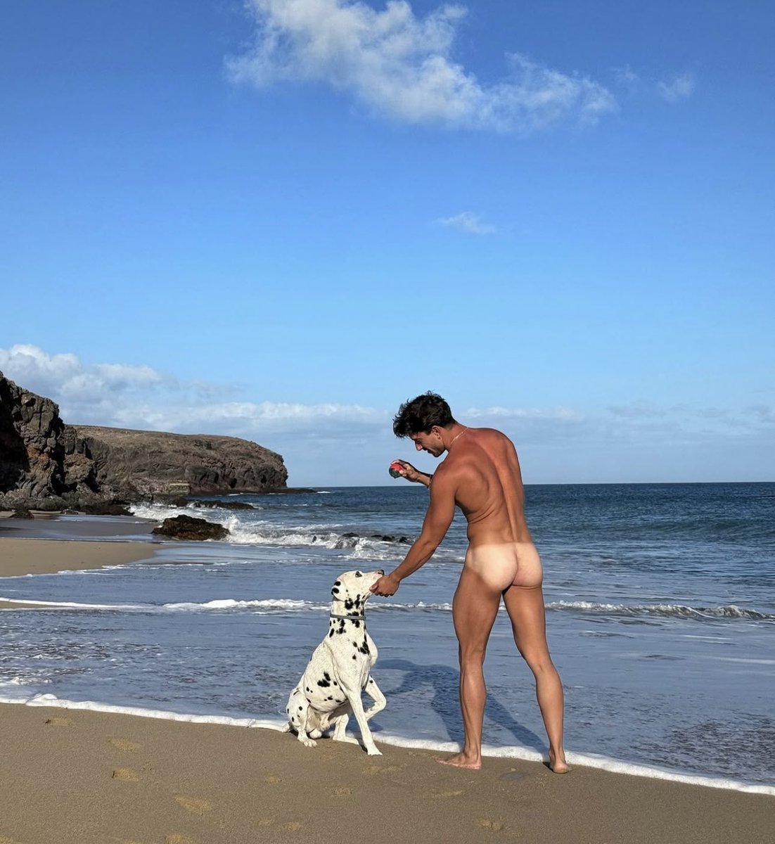 sunsurfspeedos tweet media