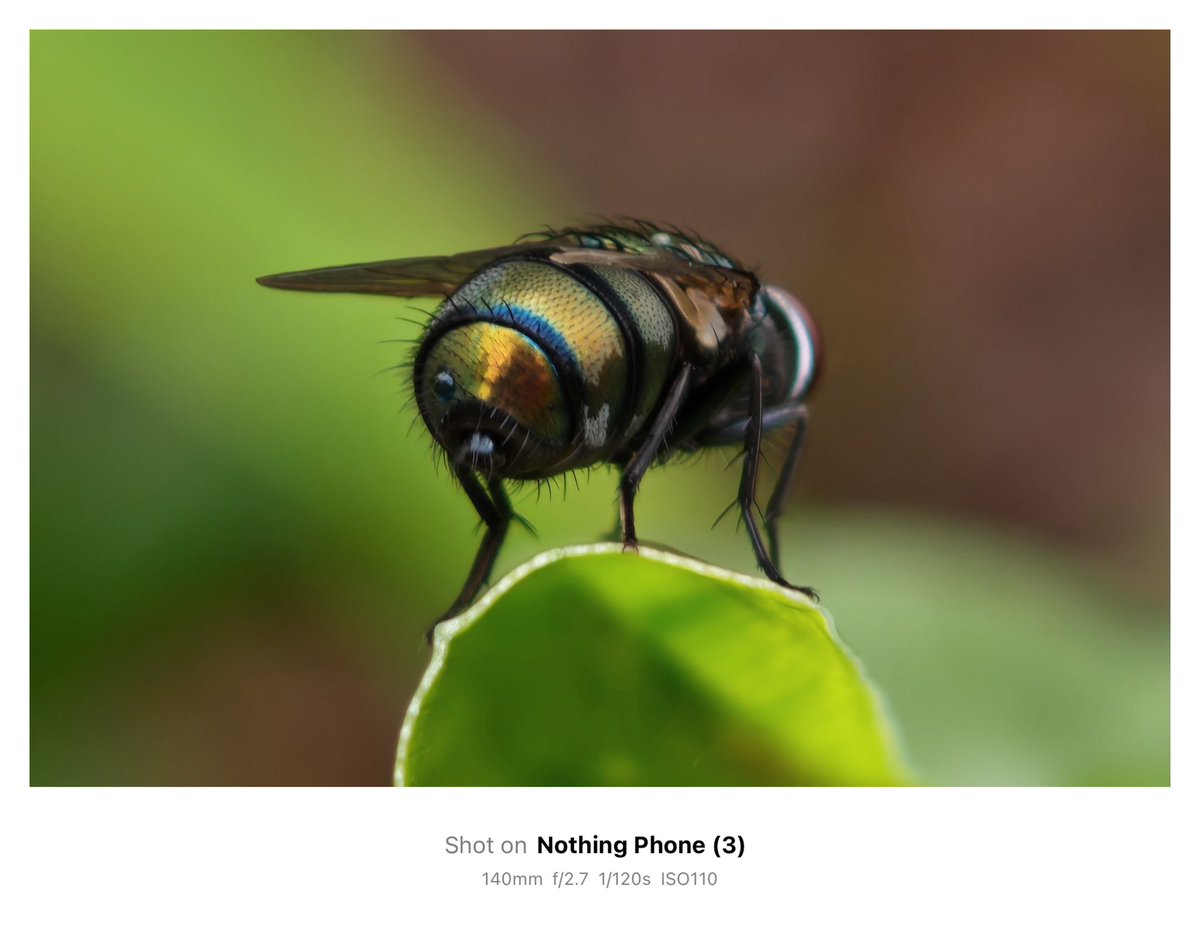 jithin2311's tweet image. Check out these sample photos taken with Nothing Phone (3) in Macro Mode 🌍
Macro photography on the Nothing Phone (3) isn’t just a feature—it’s an experience. Perfect for creators, nature lovers, or anyone who wants to see the world up close and in stunning detail.