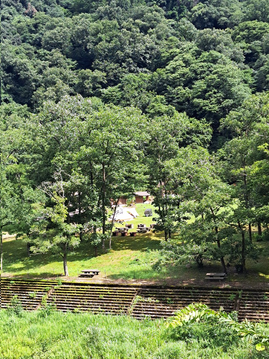MitsuyaKohno's tweet image. おっ！！軍原キャンプ場にテントが⤴️⤴️⤴️