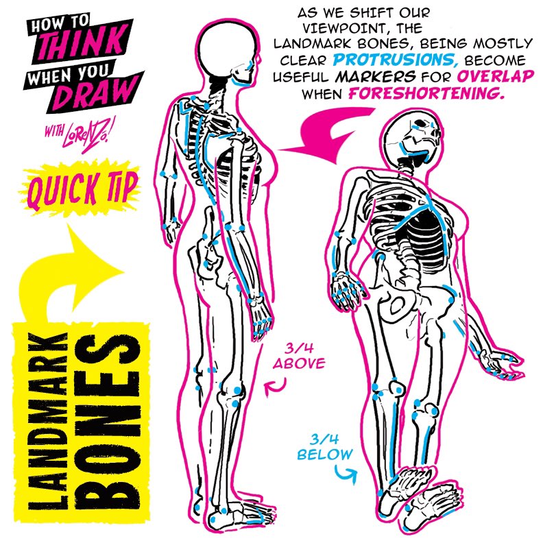 EtheringtonBros's tweet image. LANDMARK BONES! To get the FREE monthly How to THINK When You draw digital MAGAZINE, (including NEW tutorials, a YEAR before they appear online) just send “Magazine, please!” to ThinkDraw@yahoo.com
#anime #manga #comicart #conceptart #gamedev #animationdev #illustration