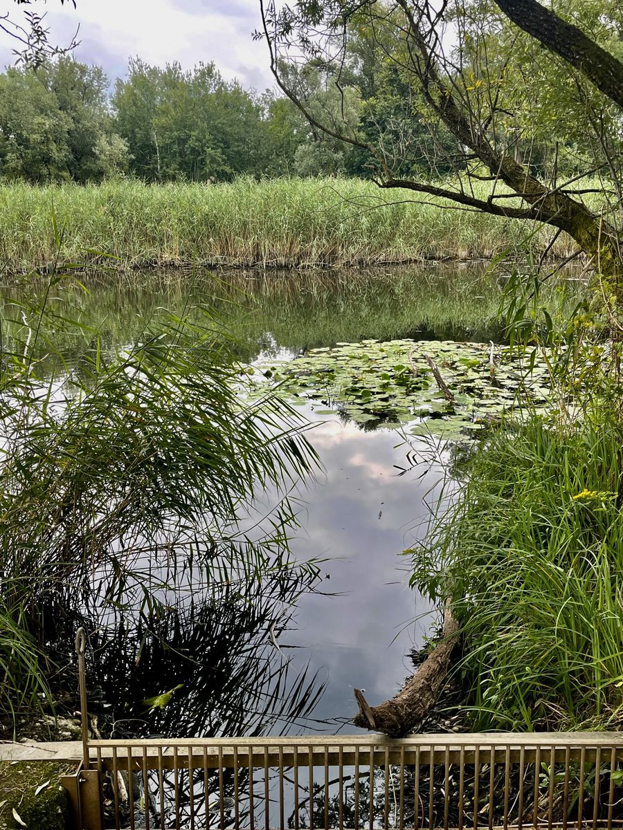 enzomazza's tweet image. #earlyrunning Angera, Lago Maggiore