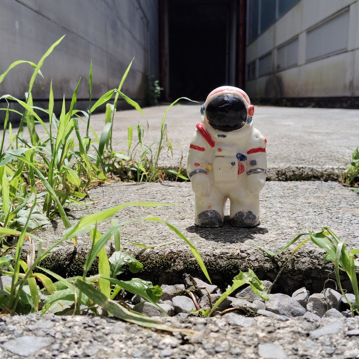KIO_4413's tweet image. いい天気だから宇宙飛行士を散歩させてる