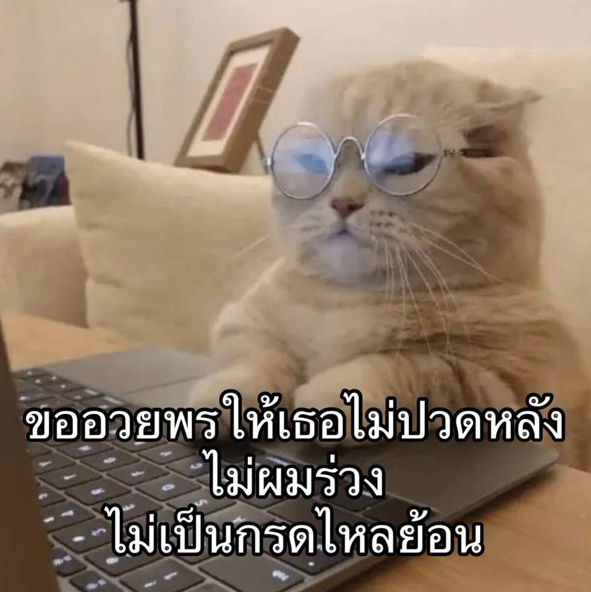 ใครสักคนกล่าวไว้ tweet media