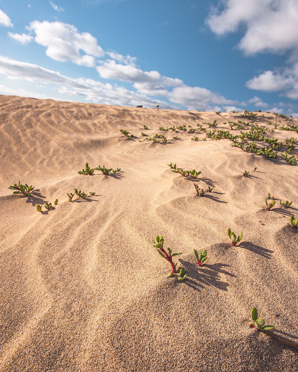 Share your photos of beaches! 🏖️