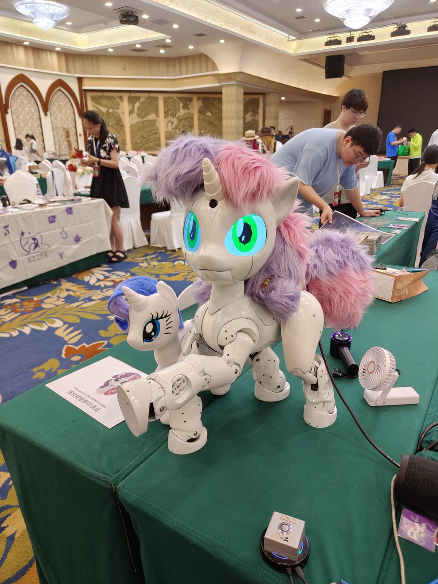 SBotProject's tweet photo. Today we are honored to participate #CNBronyCon in Hangzhou, China. https://t.co/6fOUjRJKEJ