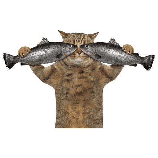 hey CLIZA <a href="/ClizaSystems/">Cliza Systems</a>  launch a coin with name: CatMaskFish ticker: CMF use the image below