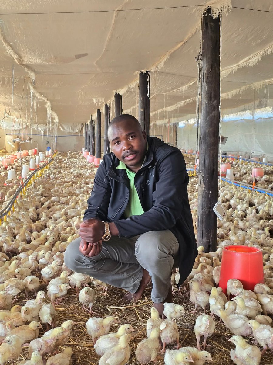 𝐖𝐚𝐧𝐭 𝐭𝐨 𝐭𝐮𝐫𝐧 𝐲𝐨𝐮𝐫 𝐟𝐚𝐫𝐦 𝐢𝐧𝐭𝐨 𝐚 𝐩𝐫𝐨𝐟𝐢𝐭 𝐦𝐚𝐜𝐡𝐢𝐧𝐞.?
Most farmers are leaving money in the field because of 1 costly mistake: poor land use planning.

Here is how to fix it (thread 🧵):