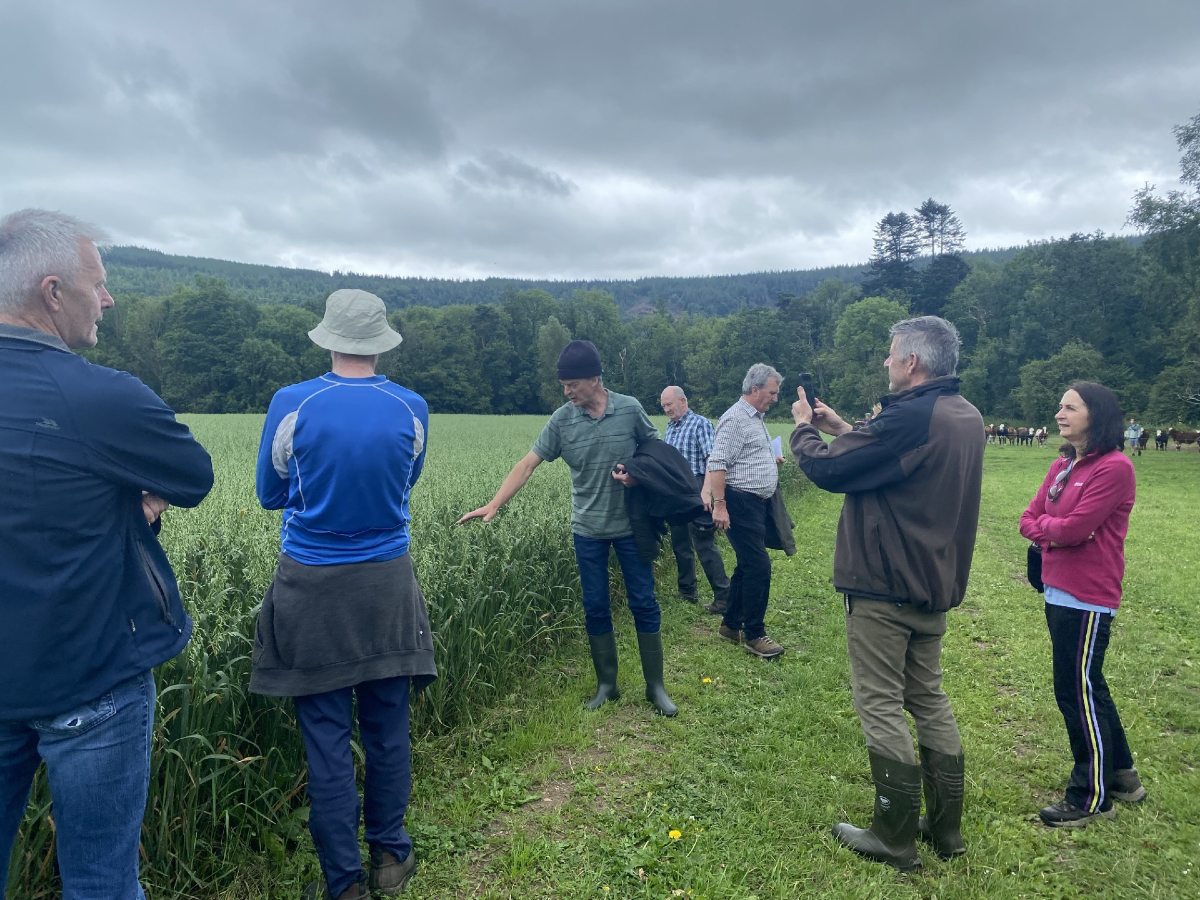 farmfornature's tweet image. We cover a lot of ground at Farming for Nature
Thanks to 3 of our recent farm walks hosts Nia O'Malley in Galway, Fergal Smith in Clare Mark Harold Barry in Tipp. Very engaged crowds at each and a lot learned about everything from Molinia grass to beekeeping Maith thú gach duine