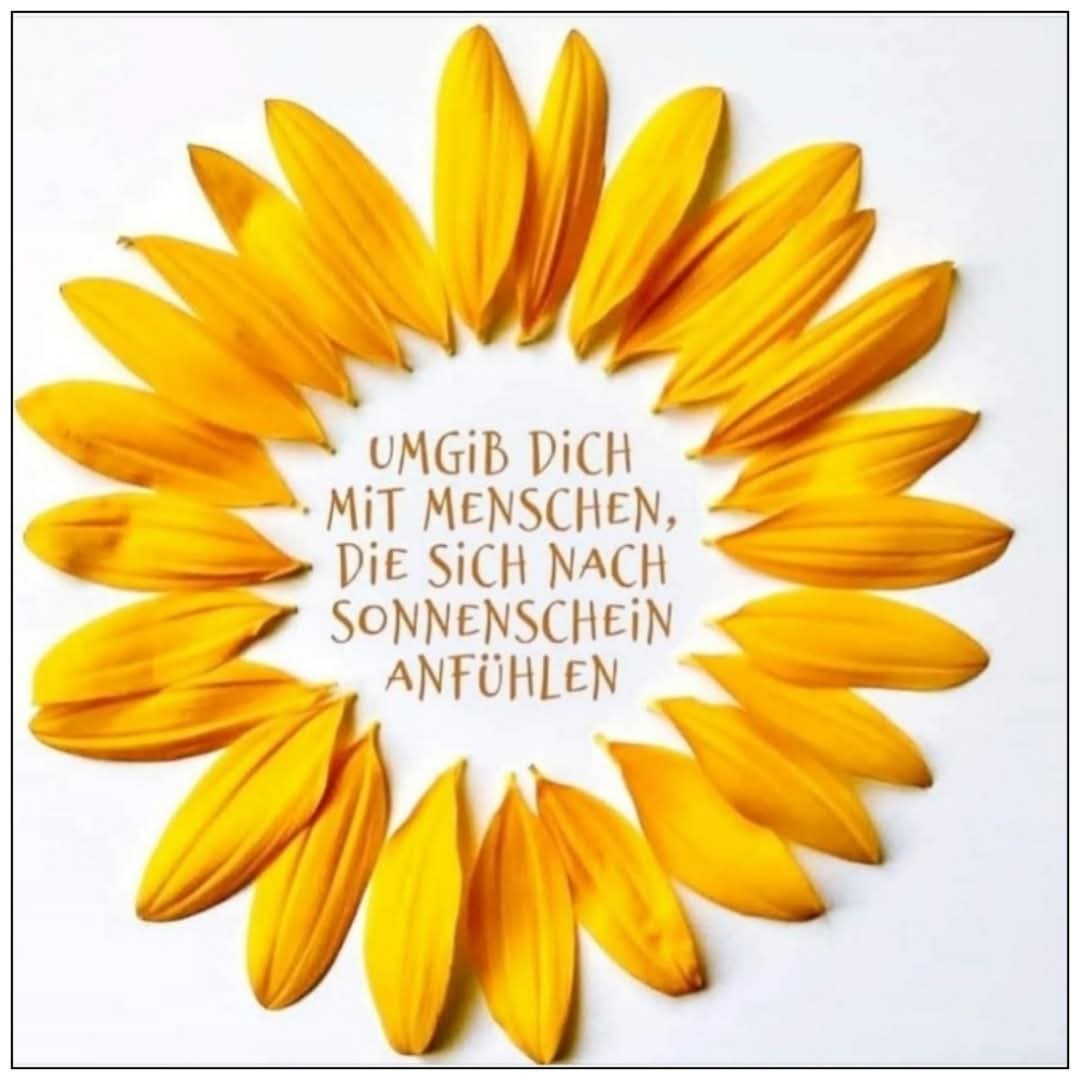 KlappertLeiser's tweet image. ☀️Einen wunderschönen guten Morgen, habt alle einen wunderschönen sonnigen Samstag..🧡☀️🧡