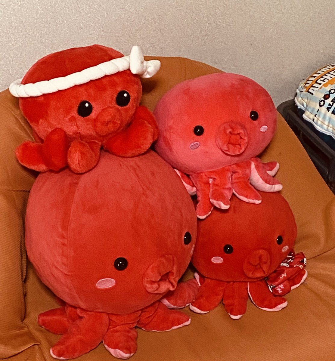 PRmw7's tweet image. お兄ちゃん&お姉ちゃんタコ🐙に
癒してもらっている
えりか3号
「ゴンちゃんのお守りは疲れるよ…」
#ぷてぃまりん
#オクトパス君
