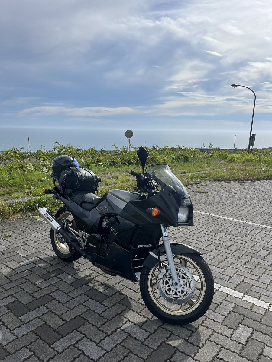 hitode900r's tweet photo. セキネップー https://t.co/4lMOW6XLke