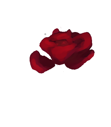 Lekkers8's tweet image. a rose