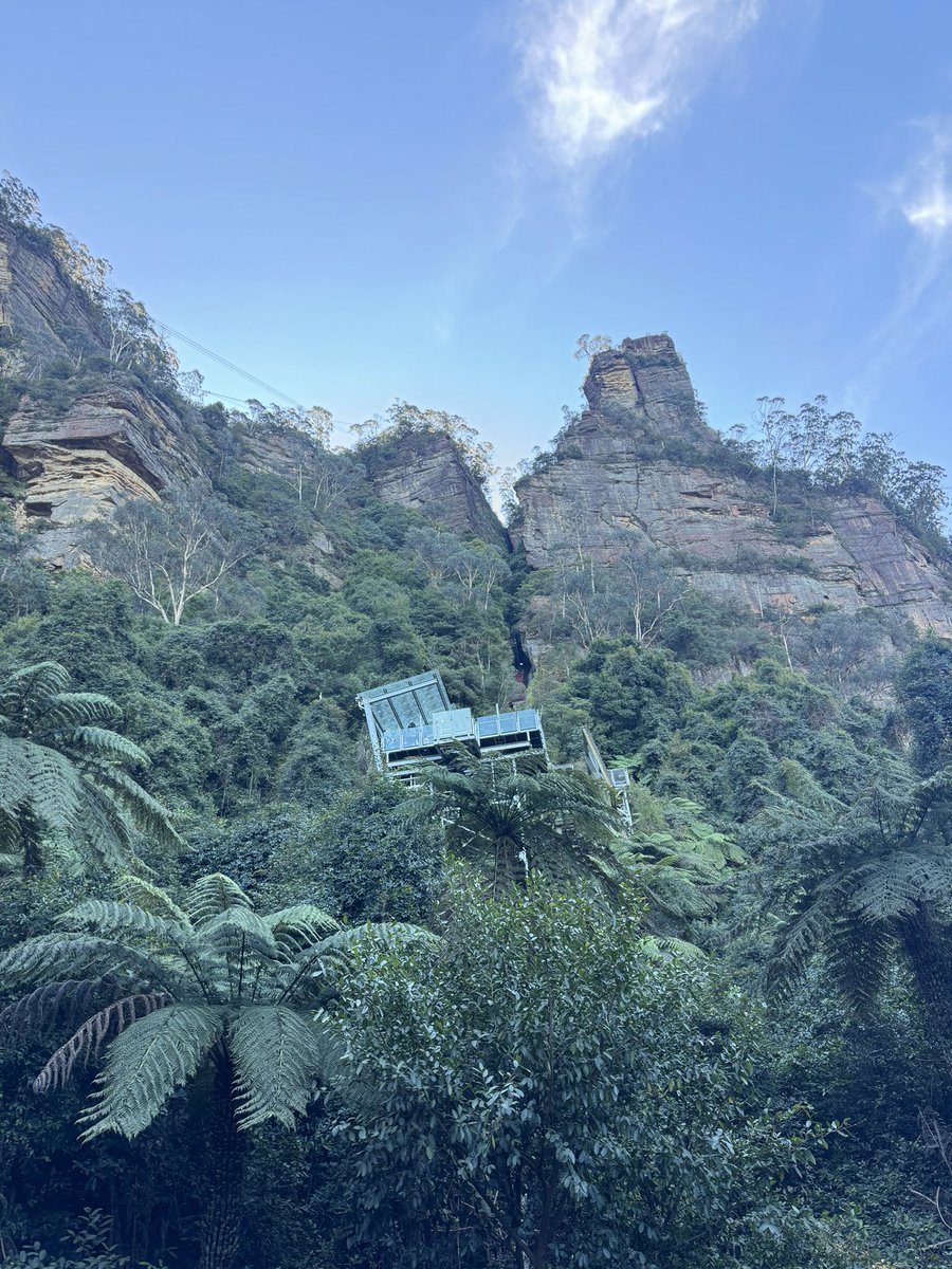 ihaveabluehat's tweet image. A fun time going on the scenic railway 😁