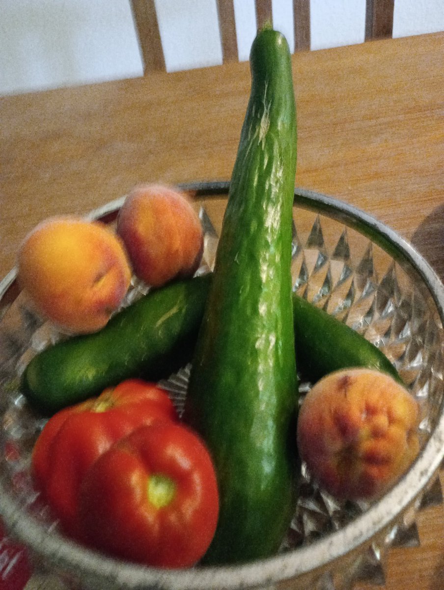 Zweite Ernte 25 ☀️