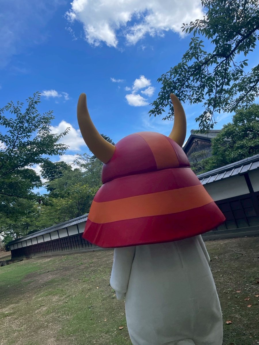 本日の #彦根 はいいお天気でござった☀️ お散歩中の #ひこにゃん 殿