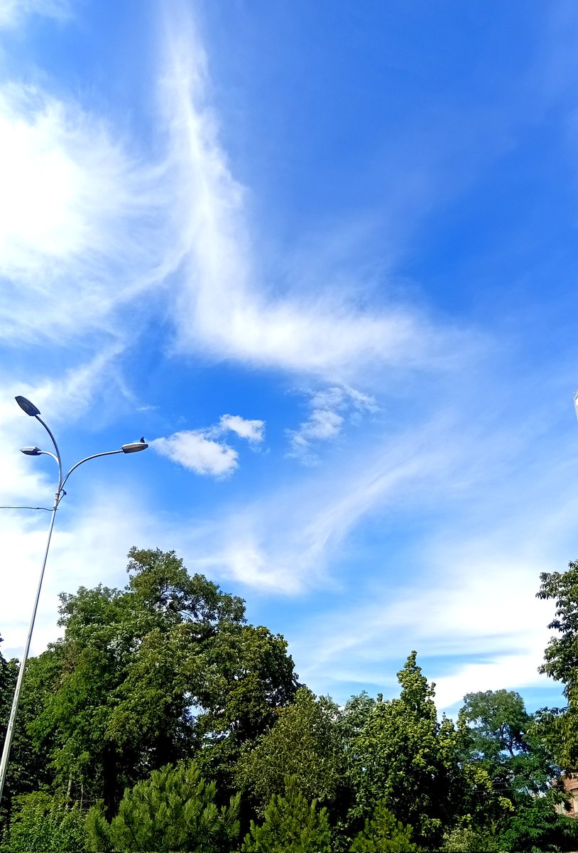 Катерина Галич tweet media