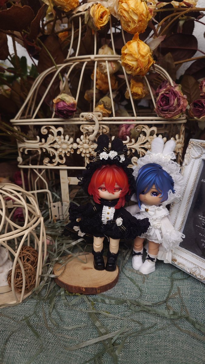 mochuuu (@mochuuuuuuu) on Twitter photo 