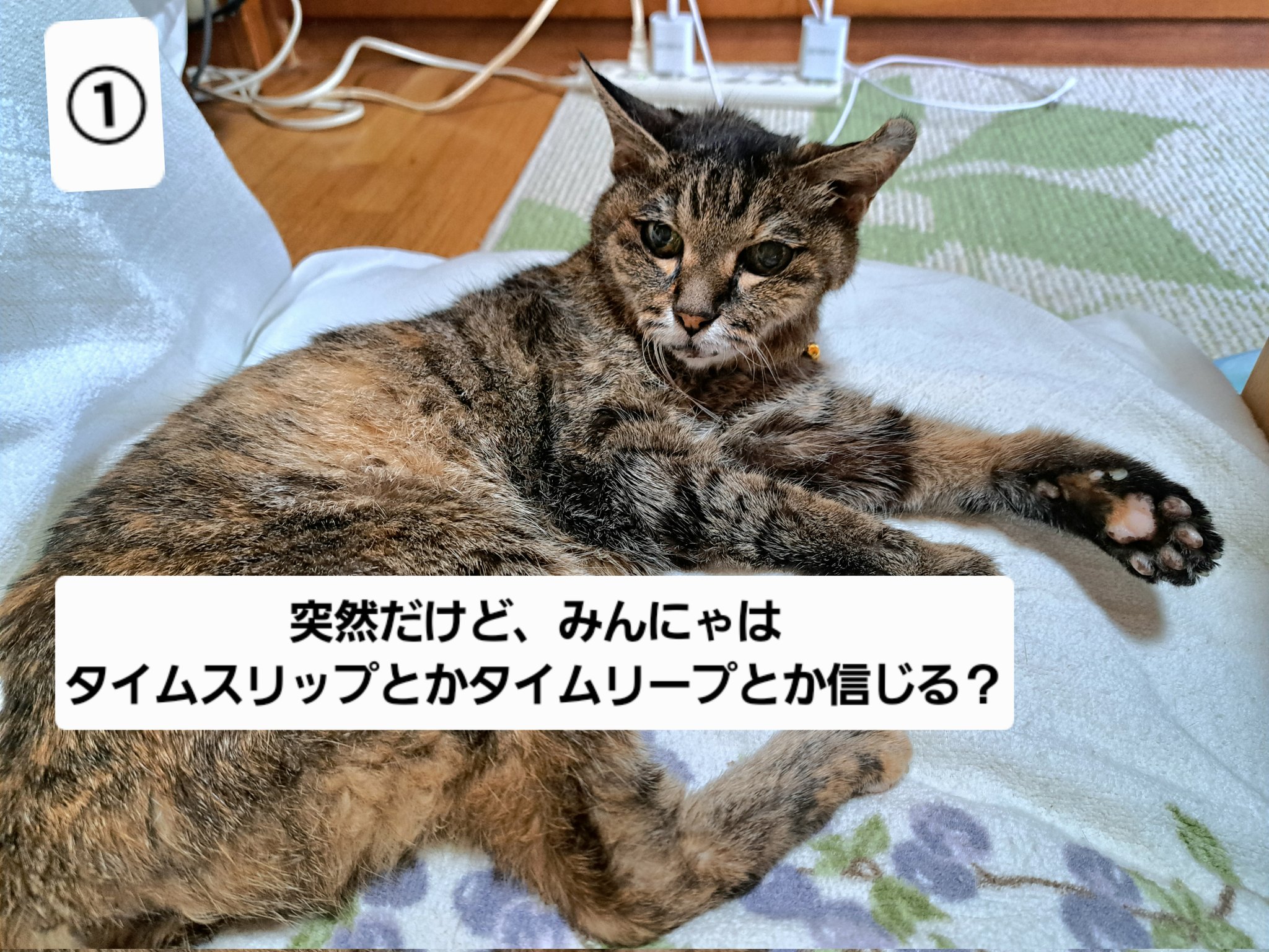 ねこ RAKU キャットタワー ネコタワー 木製 据え置き 多頭飼い 宇宙船