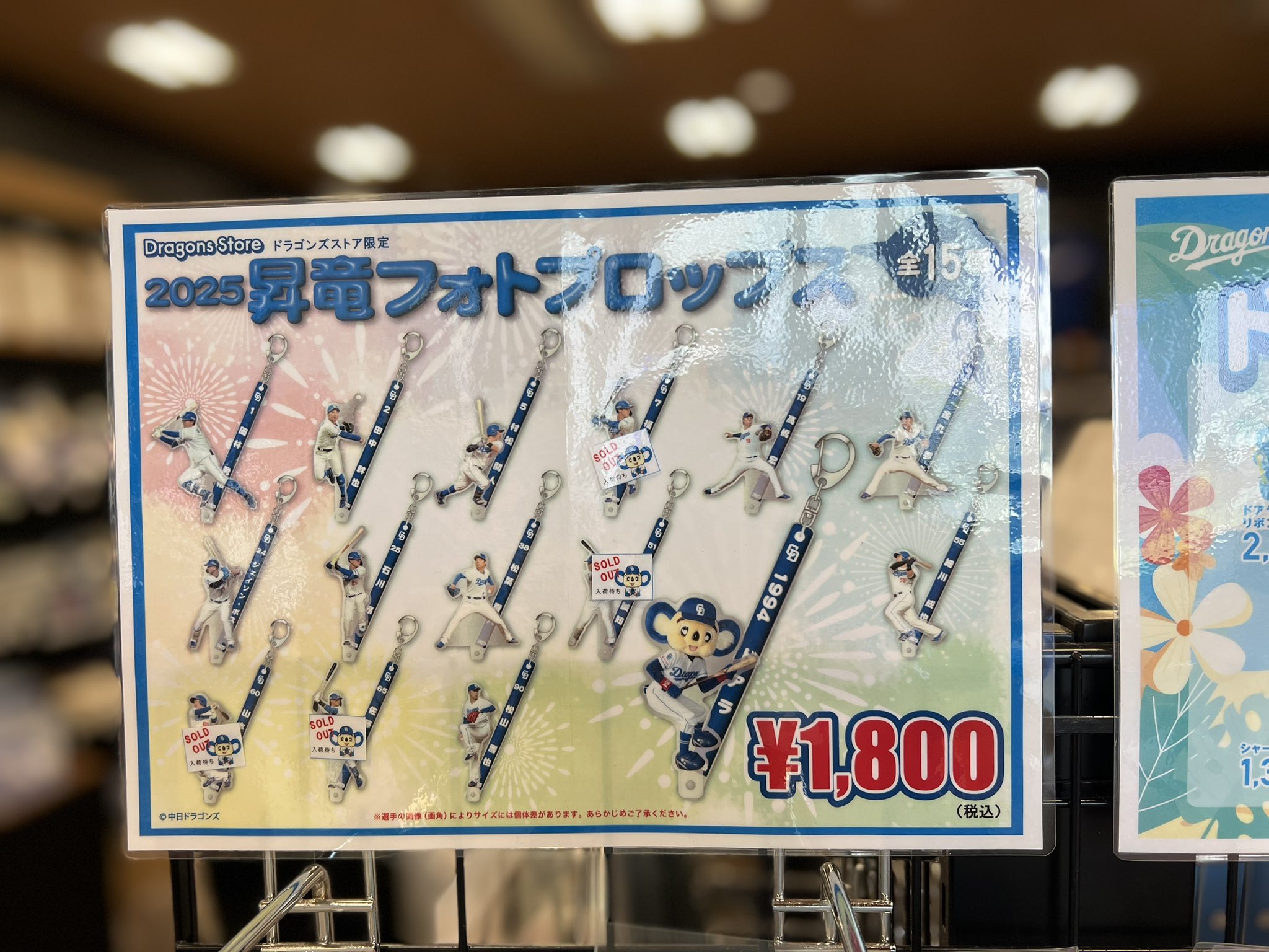【値下】中日ドラゴンズ　ドラゴンズストアサカエ　アクリルドアプレート　昇竜くじ ドラゴンズストア サカエ on X: 