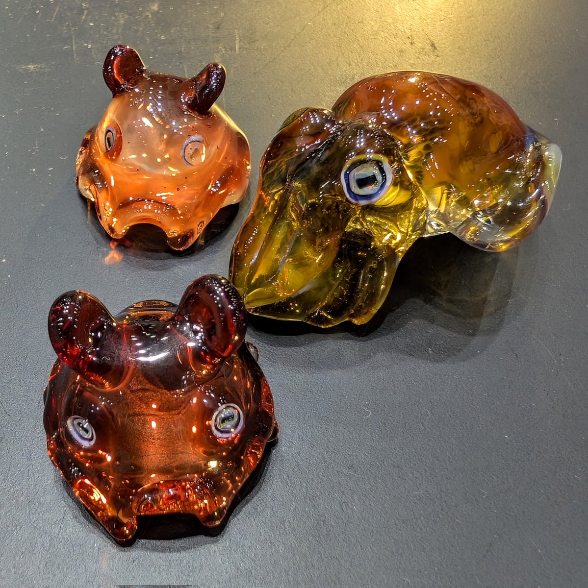 メンダコページ 沼津深海水族館 カプスタリウム メンダコ セット① MENDAKO