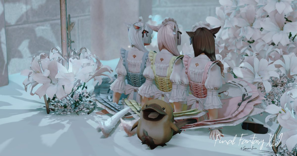 カモノハシ様　ご確認お願いします