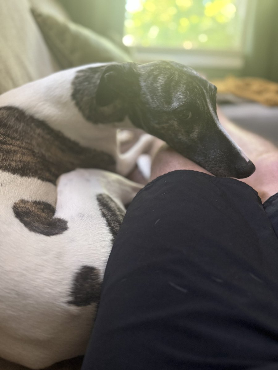 Queerbuilder's tweet image. I love this dood