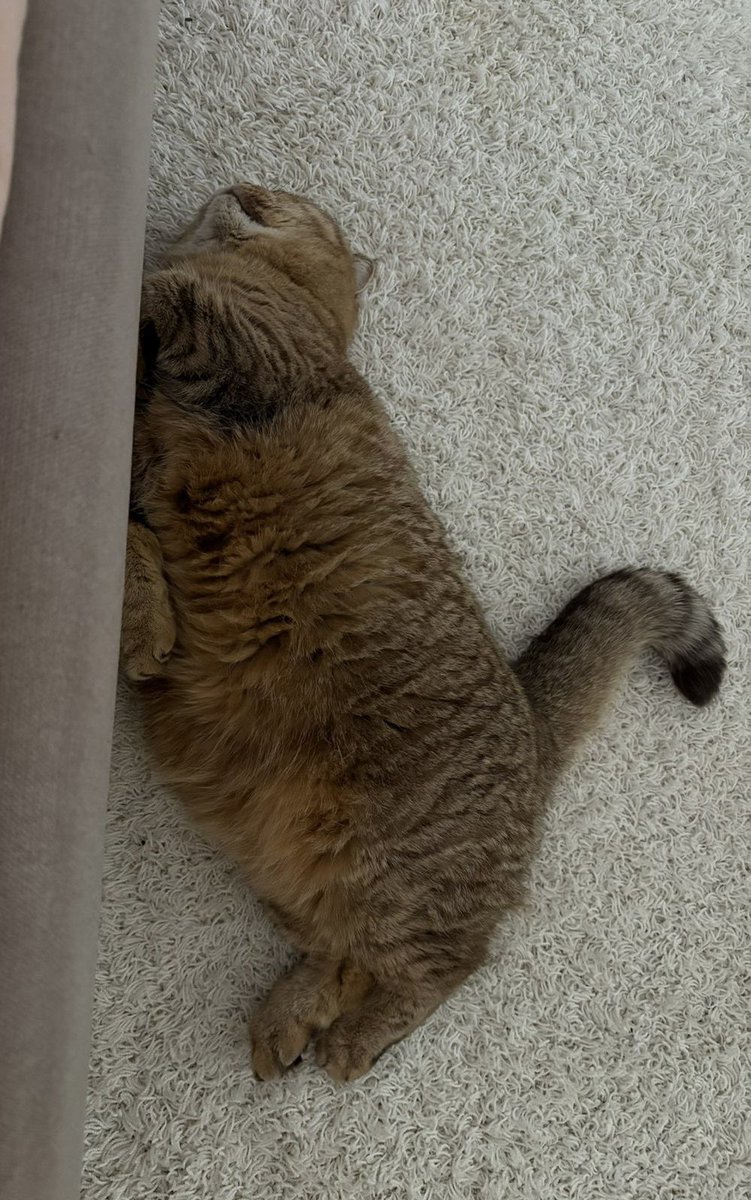 Немає де спати 😐