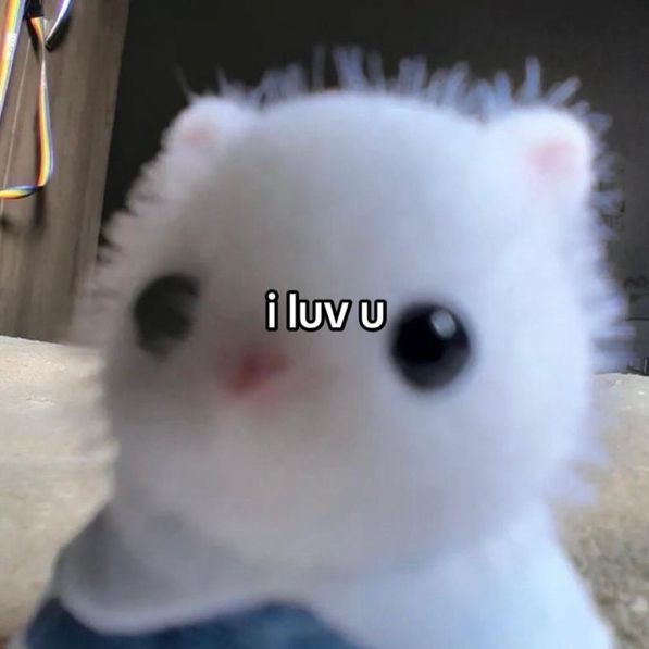 adorabledaily (@adorabledaiiy) on Twitter photo 