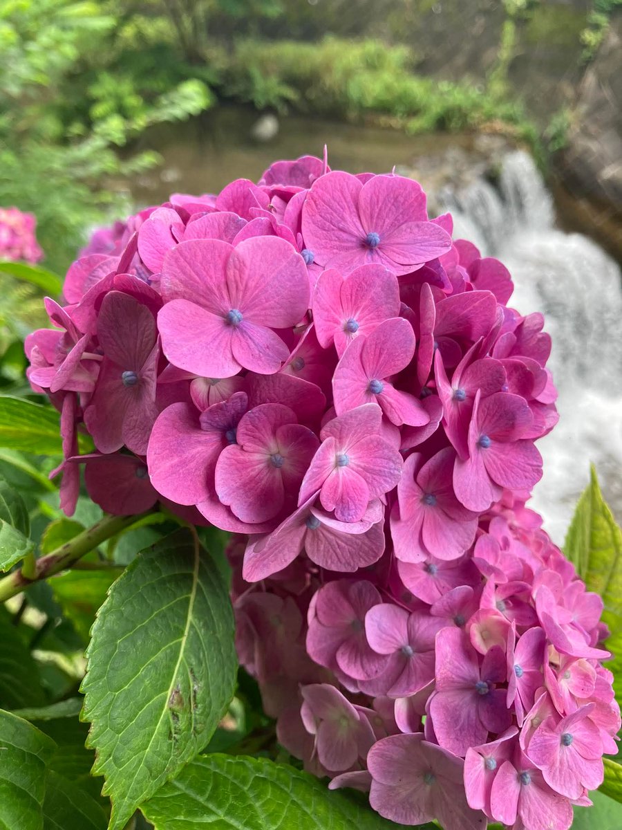 74ceff6b903445b's tweet image. Hello dear friends 🙏😄 
Have a beautiful Saturday 💜