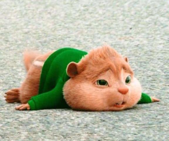 KNC billboard hits  🎶 😀

E Mporogoma muganda we mporogomaa🎶
E mporogoma muganda we mporogomaa🎶
E mporogoma muganda we mporogomaa🎶
E mporogoma muganda we mporogomaa🎶
E mporogoma muganda we mporogomaa🎶
E mporogoma muganda we mporogomaa🎶
E mporogoma muganda we mporogomaa🎶