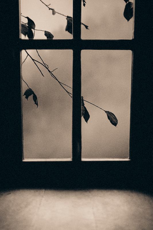 artlimitednet's tweet image. When the Outside Watches Inward by Ebru Sidar artlimited.net/9221
#foggy #moody #melancholicmood #cinematicstill #photography #emotionalframes #visiblewomen #fineartphoto #fall #digital #vegetal #darkart #duality #misty #softcontrast #sepiaart #moodywindow #melancholy…