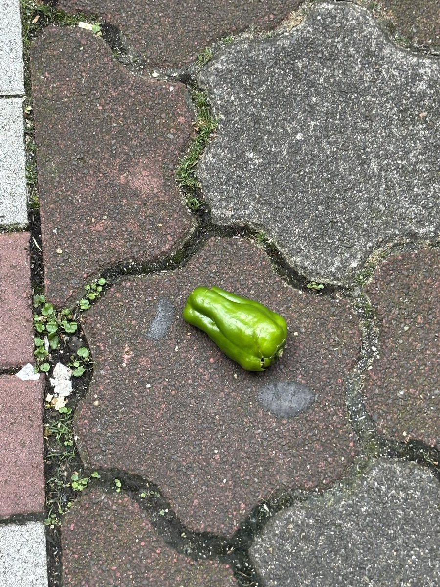蒲田にピーマン落ちてる