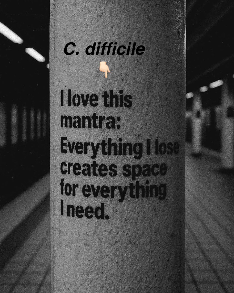 infeccHRUmalaga's tweet photo. El mantra 🧘🏻‍♀️favorito de #Cdifficile sería algo así 📸👇🏻
El tratamiento antibiótico al eliminar el #microbioma habitual💊❌🧫deja “huecos” q permiten al #Cdifficile ocuparlos y proliferar
Usa antibióticos sabiamente 🧙‍♂️ y el menor tiempo posible ⬇️⏳evita cefalosporinas 3G y clinda https://t.co/zRoOajqzQz