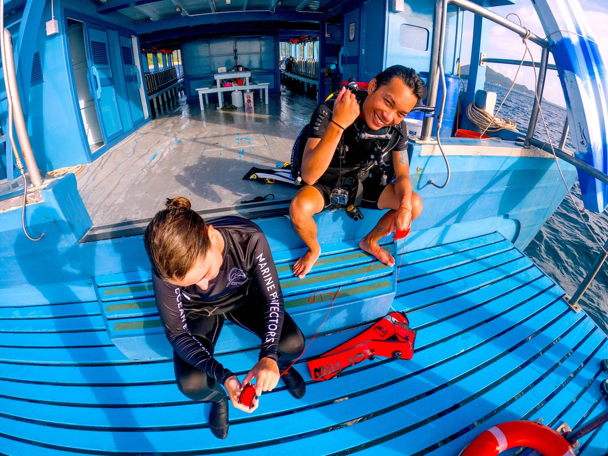 Black Turtle Dive dive centre in collaboration with IDC Koh Tao pro level training team, provide suitable Divemaster candidates with a structured, effective and rewarding PADI Divemaster course. idckohtao.com/divemaster-int… idckohtao.com/padi-divemaste… #Scuba #Divemaster #PADI