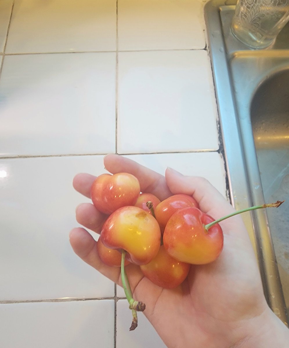 WHY ARE THESE CHERRIES SO BIG WHAYT ARE THEY PUTTING IN OUR FOOD