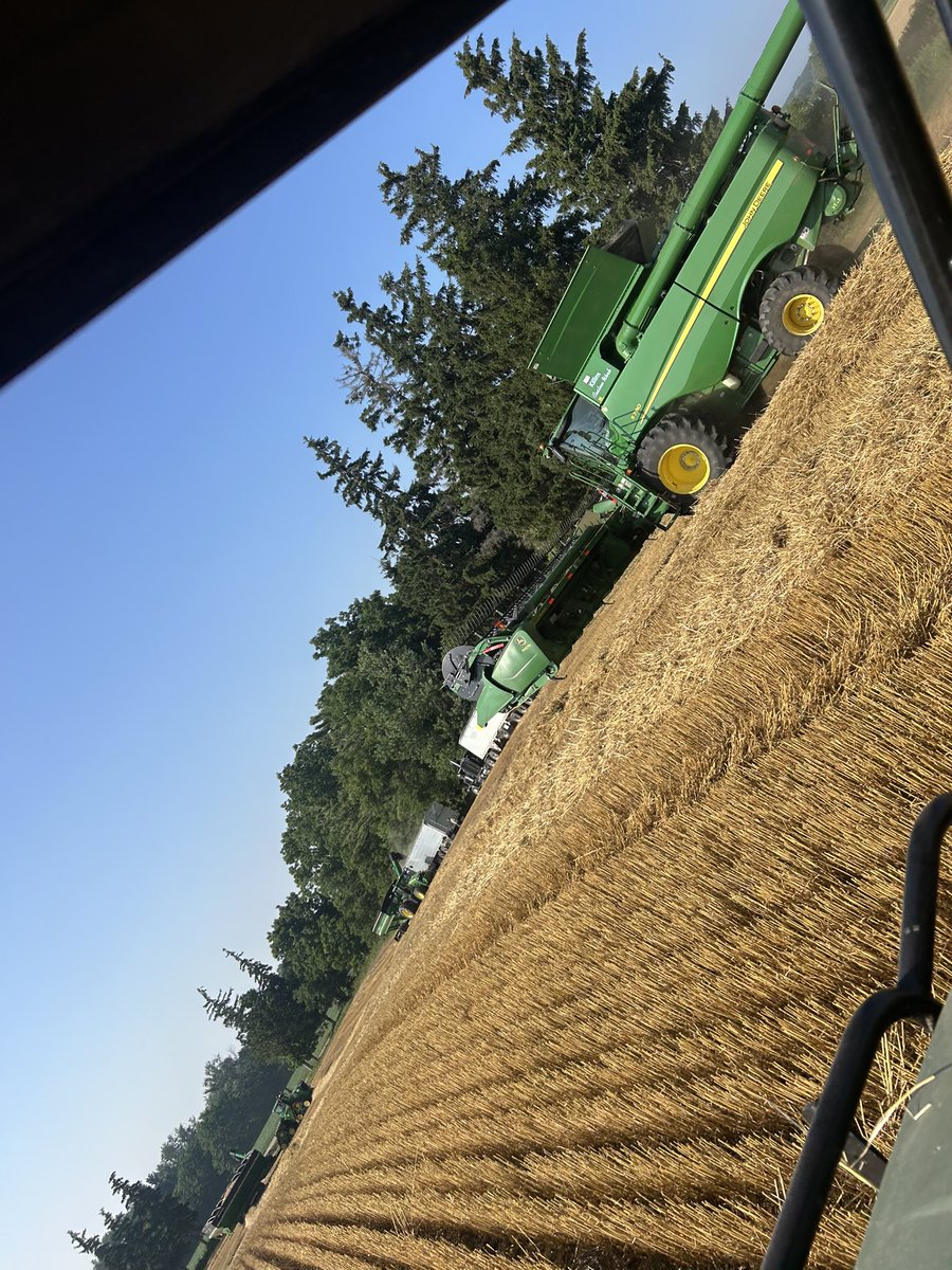Wheat harvest has started! A Very good crop this season but the rain has put us on a standstill, tomorrow we try again.