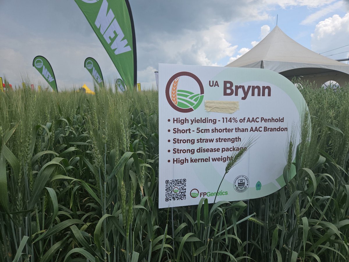 Gurcharn Singh Brar ਗੁਰਚਰਨ ਸਿੰਘ ਬਰਾੜ tweet media