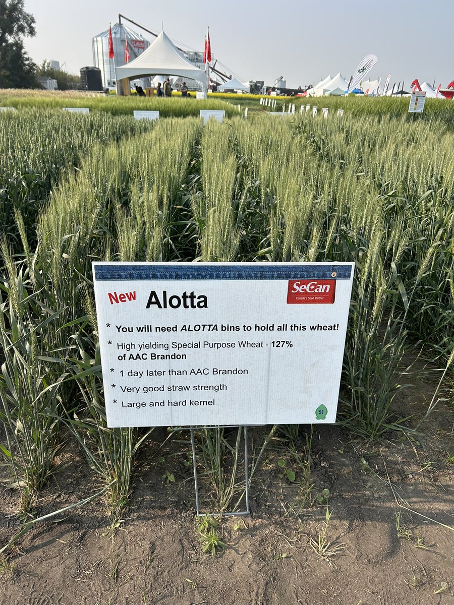 Gurcharn Singh Brar ਗੁਰਚਰਨ ਸਿੰਘ ਬਰਾੜ tweet media