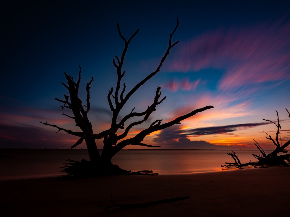 thatseguy's tweet image. I dug up this old one and thought I would share it. Driftwood Beach gets all the fame for it's sunrise photos, but if you'll visit the WEST side of Jekyll Island...
Goodnight Jekyll (2021)
Jekyll Island, GA