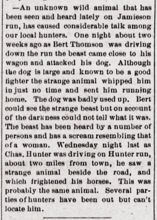 oddoldnews's tweet image. An Unknown Wild Animal
The Forest Republican. January 03, 1906