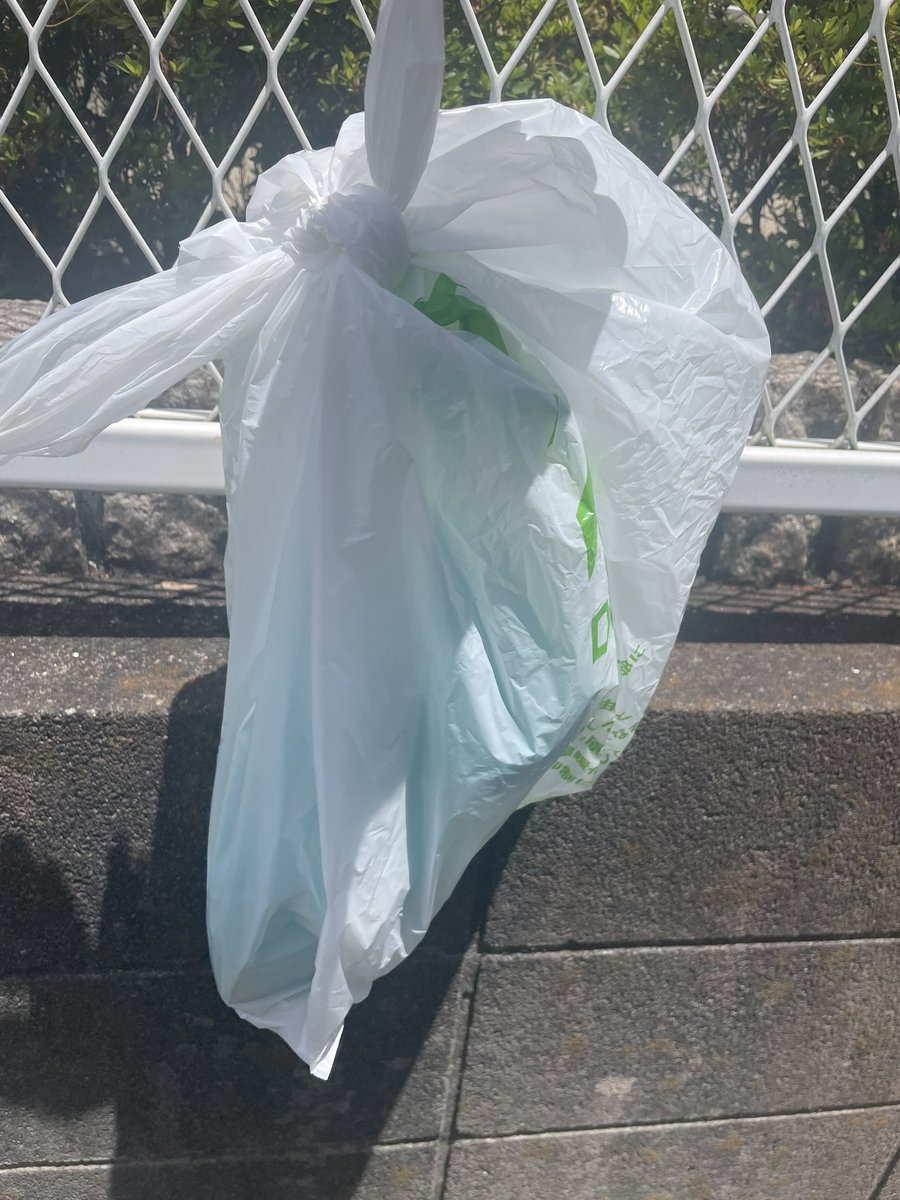 エントランスにでっかい鳥死んでた
血だらけだったから襲われたのかなと…
朝からそのまま放置されてたっぽいので、
可哀想なのとカラスがハイエナするのも嫌で処分してきました

そんな私は鳥が苦手です