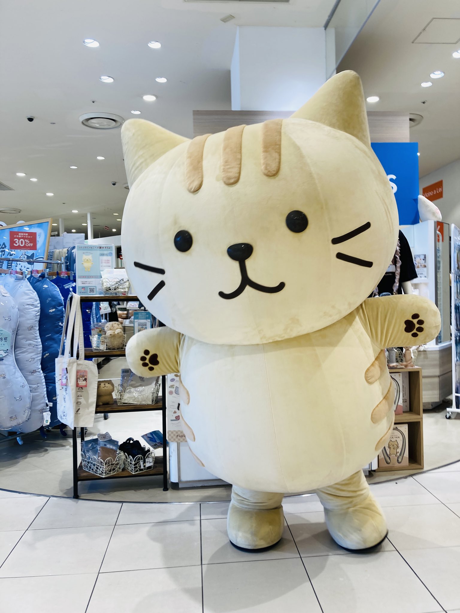 ふくふくにゃんこ　イベント　セット売り ふくふくにゃんこ イベント セット売り ふくふくにゃんこ